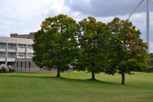Mount wachusett community college