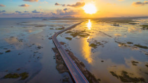 aerial view long bridge above the swamp